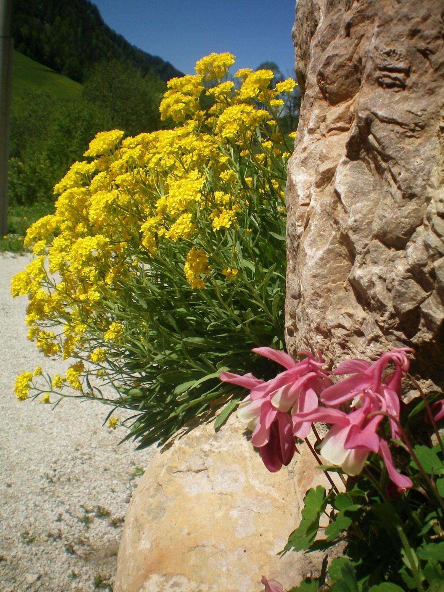 Villa Otto Santa Cristina Val Gardena 外观 照片