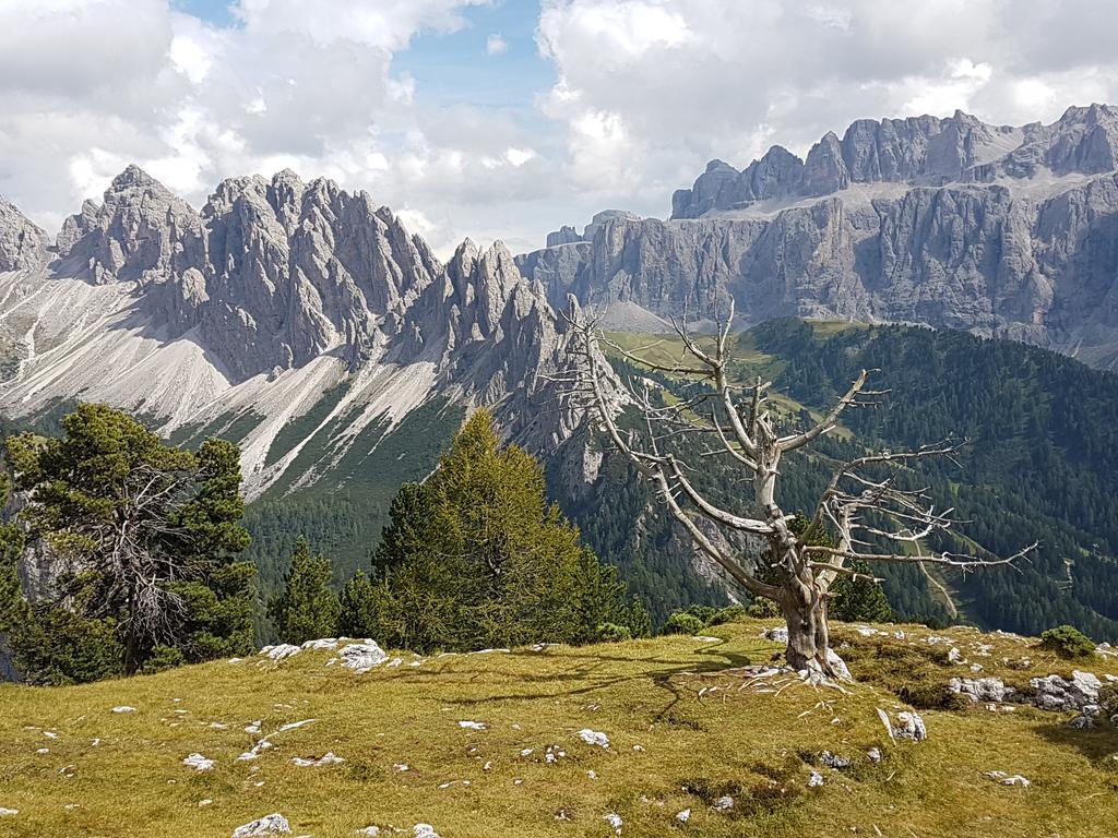 Villa Otto Santa Cristina Val Gardena 外观 照片